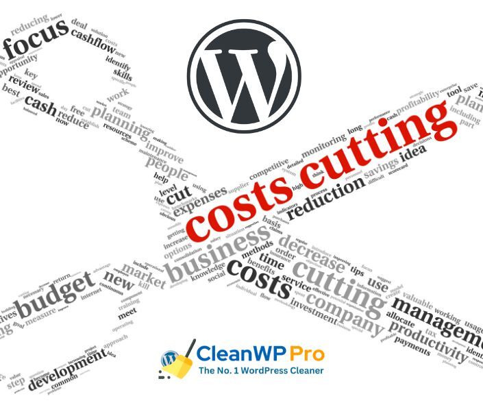 How to reduce WordPress website running cost?